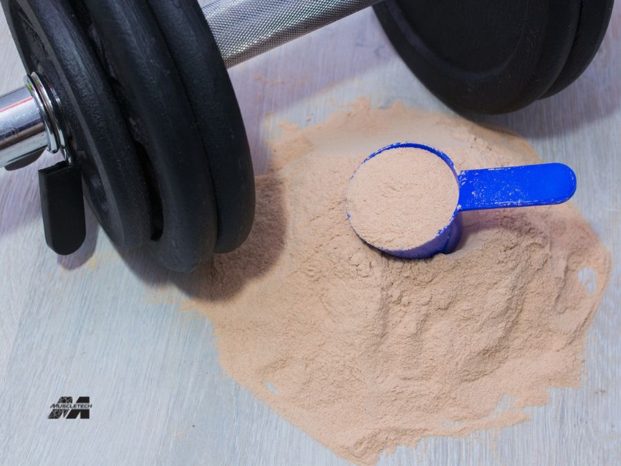 How Are Creatine Supplements Made 