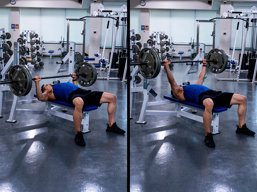 barbell bench press