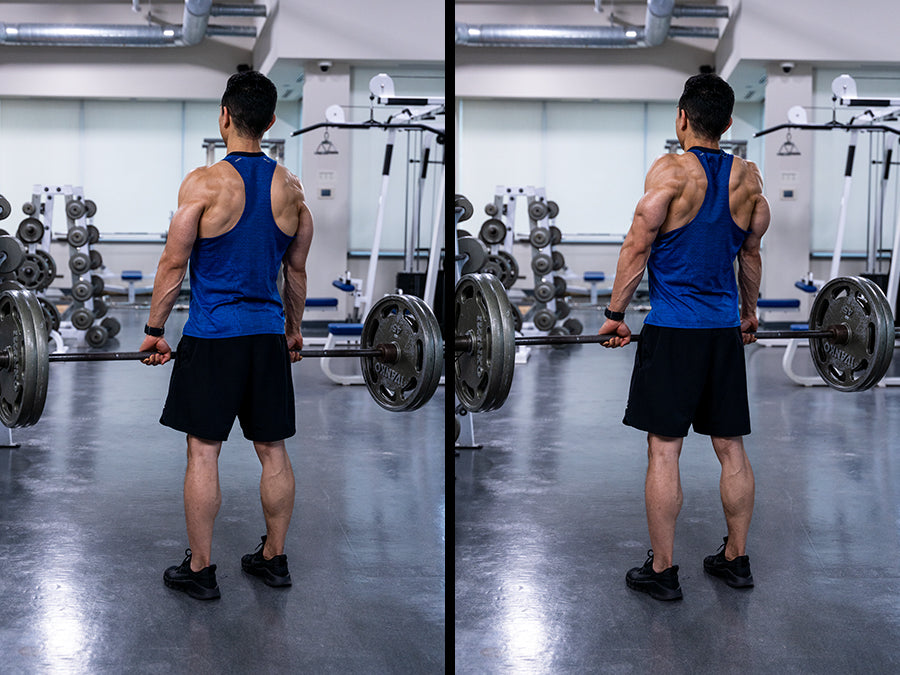barbell Shrugs