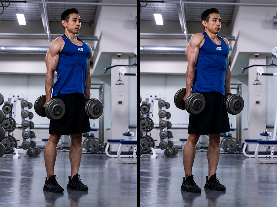 dumbbell shrug