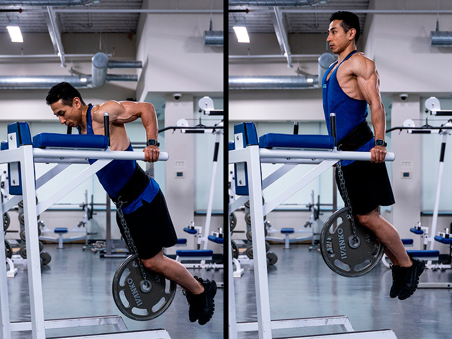 bodyweight dips