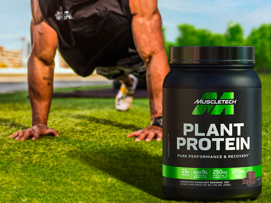 Plant Based Protein Powder